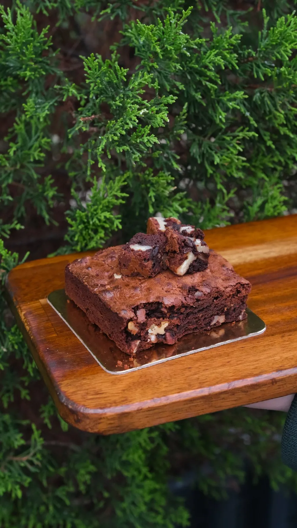 BROWNİ