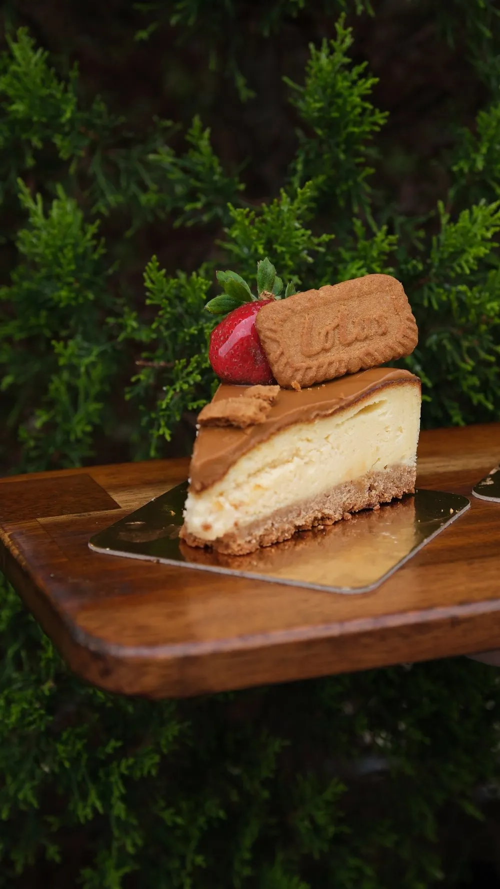 LOTUS CHEESECAKE